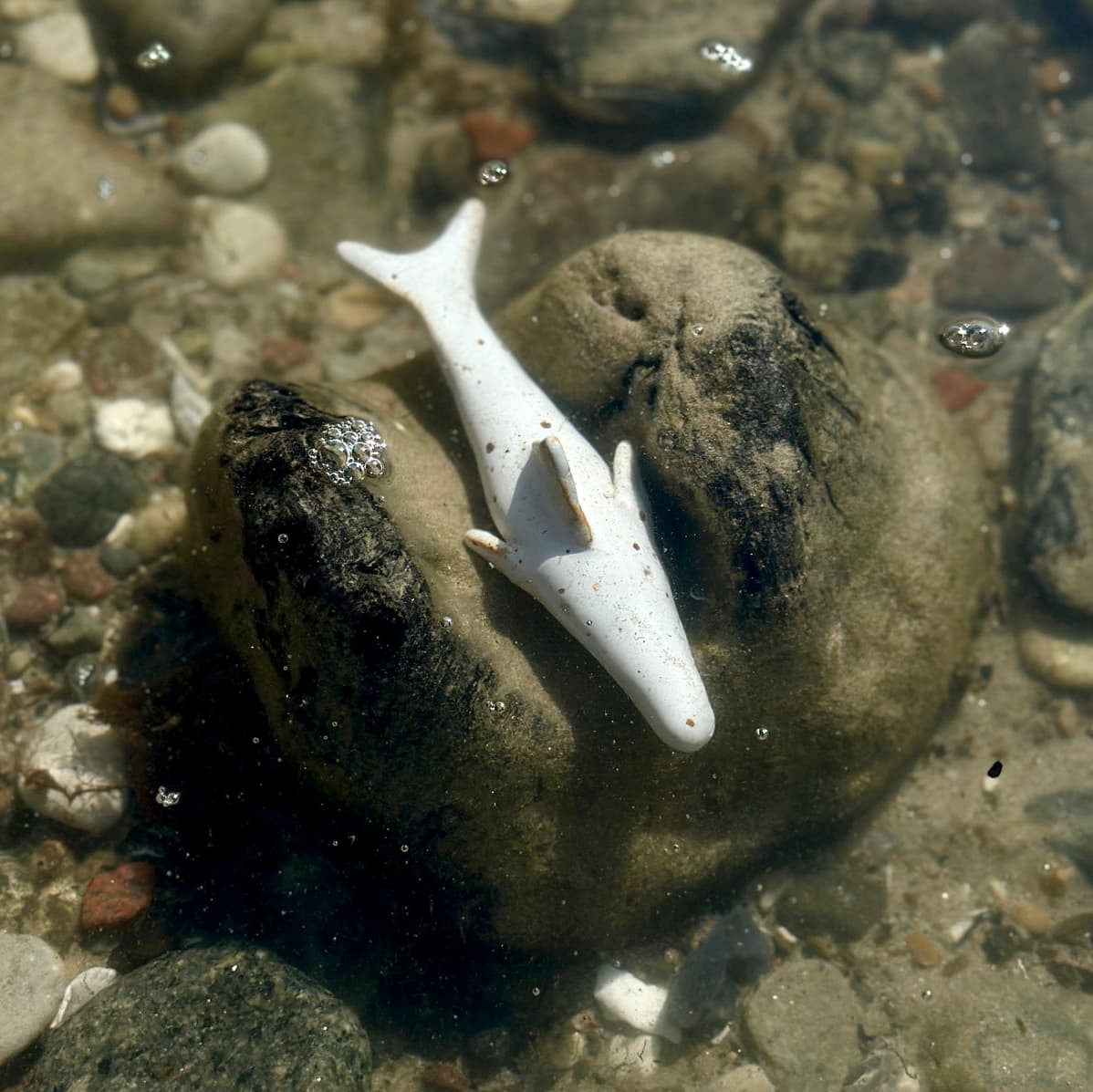 TIBURCIO - Handmade Funky Ceramic Sharks