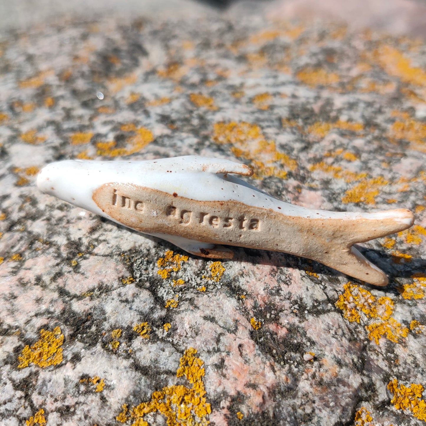 TIBURCIO - Handmade Funky Ceramic Sharks